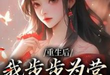 萧珞沈彧是哪本书的主角?重生后,我步步为营,揭露宫斗免费读-干果文学
