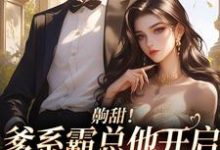 已完结小说《齁甜!爹系霸总他开启追妻火葬场》章节免费阅读-干果文学