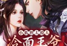 青鸢祁司晏的小说在哪里看?免费在线阅读小狐狸太撩人,冷面王爷笑着宠-干果文学