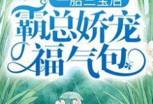 男女主人公叫陆北城江如意的小说免费资源-干果文学