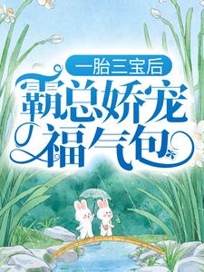 男女主人公叫陆北城江如意的小说免费资源