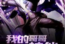 我的哥哥是神仙这本小说怎么样?免费在线阅读试试-干果文学