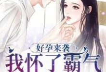 好孕来袭:我怀了霸气军官的崽子主角陈晓莹顾城小说完结版章节在线阅读-干果文学