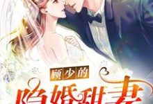 顾少的隐婚甜妻这本小说在哪里可以看?哪里有免费试读章节?-干果文学