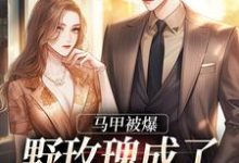 马甲被爆,野玫瑰成了大佬掌中娇小说的最新章节在哪里更新?免费追踪阅读-干果文学