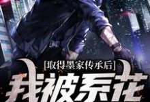 取得墨家传承后,我被系花盯上了陈瀚宁欣楠,取得墨家传承后,我被系花盯上了章节在线阅读-干果文学