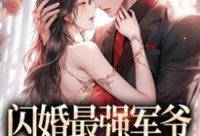 免费看闪婚最强军爷,被宠上天小说的网站有哪些?-干果文学