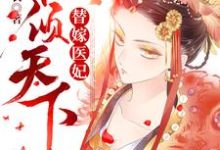 替嫁医妃权倾天下小说的无弹窗阅读体验,寻找免费阅读网站-干果文学