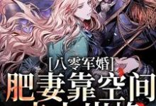八零军婚:肥妻靠空间走上巅峰凌瑶陆青云,八零军婚:肥妻靠空间走上巅峰小说免费阅读-干果文学