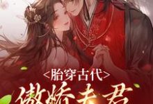 小说《胎穿古代:傲娇夫君竟是恋爱脑》章节免费阅读-干果文学