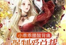 《小乖乖腰酸背痛,强制爱总裁是疯批》小说孟霁陆野章节章节免费在线阅读-干果文学
