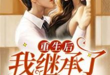 小说《重生后我继承了百亿遗产》在线章节阅读-干果文学