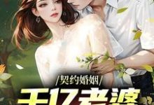 契约婚姻:千亿老婆太撩人小说的所有章节都能在哪里免费读到?-干果文学
