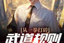 从一拳打碎武道规则开始无敌小说有没有完结版在线?-干果文学