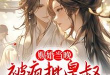 沈御时姜宁小说赐婚当晚,被疯批皇叔强取豪夺在线阅读-干果文学