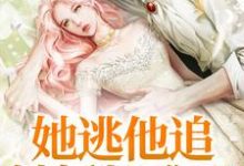 已完结小说《她逃他追,她插翅难飞》章节在线阅读-干果文学