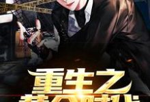 重生之黄金时代小说的无弹窗阅读体验,寻找免费阅读网站-干果文学