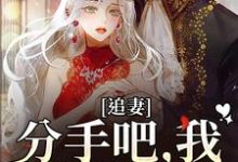 追妻:分手吧,我不哄你了谈祈深颜缦,追妻:分手吧,我不哄你了小说免费阅读-干果文学