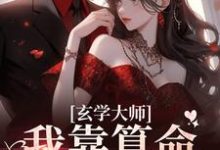 玄学大师:我靠算命爆火全网芜音谭辞小说大结局免费试读-干果文学