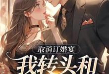 取消订婚宴,我转头和别人领证这本小说完结了吗?免费查看最新章节-干果文学