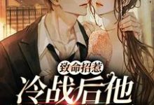 致命招惹:冷战后他靠撒娇求和最新章节,致命招惹:冷战后他靠撒娇求和免费阅读-干果文学
