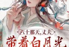 六十那天,丈夫带着白月光回府了宋瑛小说免费阅读-干果文学