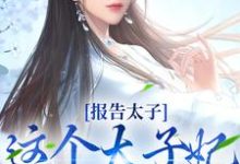 报告太子:这个太子妃好眼熟小说完结版章节免费阅读-干果文学