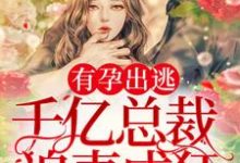 有孕出逃:千亿总裁追妻成狂这本小说怎么样?免费在线阅读试试-干果文学