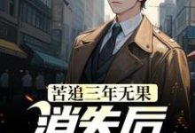 苦追三年无果,消失后,她却疯了小说的无弹窗阅读体验,寻找免费阅读网站-干果文学