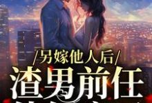 另嫁他人后,渣男前任他气疯了小说无弹窗阅读的网站推荐-干果文学