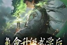 哪里能找到氪命升级武学后,我砍妖王拿寿元小说的最新更新和免费章节?-干果文学