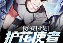 我的职业是护花使者,没想到吧小说阅读,我的职业是护花使者,没想到吧完结版-干果文学