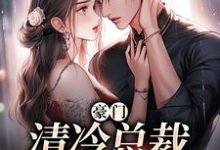 完结版《豪门:清冷总裁放肆宠》章节阅读-干果文学