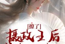 撩了摄政王后,我跑不掉了小说的免费阅读版本在哪里可以找到?-干果文学