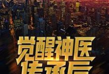 觉醒神医传承后,拿女神试手张小天方倩倩小说完结版章节在线阅读-干果文学