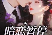 暗恋暂停,开始恋爱小说,暗恋暂停,开始恋爱免费阅读-干果文学