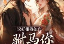说好相敬如宾,驸马你干嘛宽衣(赵玖鸢陆景珩)在线免费阅读-干果文学