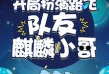 禁地探秘:开局扮演路飞,队友麒麟小哥小说,禁地探秘:开局扮演路飞,队友麒麟小哥在线阅读-干果文学