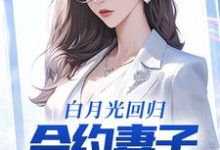 白月光回归,合约妻子和我离婚了最新章节,白月光回归,合约妻子和我离婚了免费阅读-干果文学