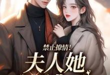 禁止撩情!夫人她又逃了小说最新更新在哪里?免费在线看-干果文学