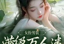 琳琅小说女扮男装,满级万人迷被迫修罗在线阅读-干果文学
