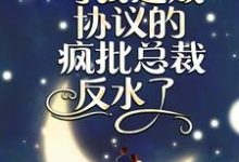 闪婚夜,与我达成协议的疯批总裁反水了顾念傅言枭小说在线章节目录阅读最新章节-干果文学