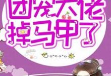 快穿:团宠大佬掉马甲了小说完结了吗?在哪里可以免费读到?-干果文学