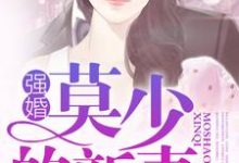 《强婚:莫少的新妻》全集免费在线阅读(沈南乔莫北丞)-干果文学