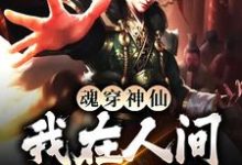 许修心小说魂穿神仙,我在人间装疯卖傻章节免费阅读-干果文学