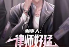 《当事人:律师好猛,案子解决真轻松》小说章节在线试读,《当事人:律师好猛,案子解决真轻松》最新章节目录-干果文学