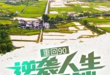 完结版《重回90:逆袭人生的开端》章节阅读-干果文学
