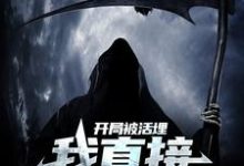 开局被活埋,我直接原地复生林寿小说在线章节免费阅读-干果文学