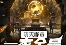 晴天霹雳,一家全是盗墓贼叶慕白張起棂,晴天霹雳,一家全是盗墓贼在线无弹窗阅读-干果文学