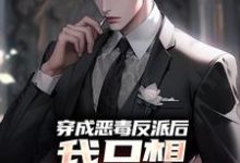 穿成恶毒反派后,我只想离婚保平安祝天凡冷冰凝小说在线章节目录阅读最新章节-干果文学